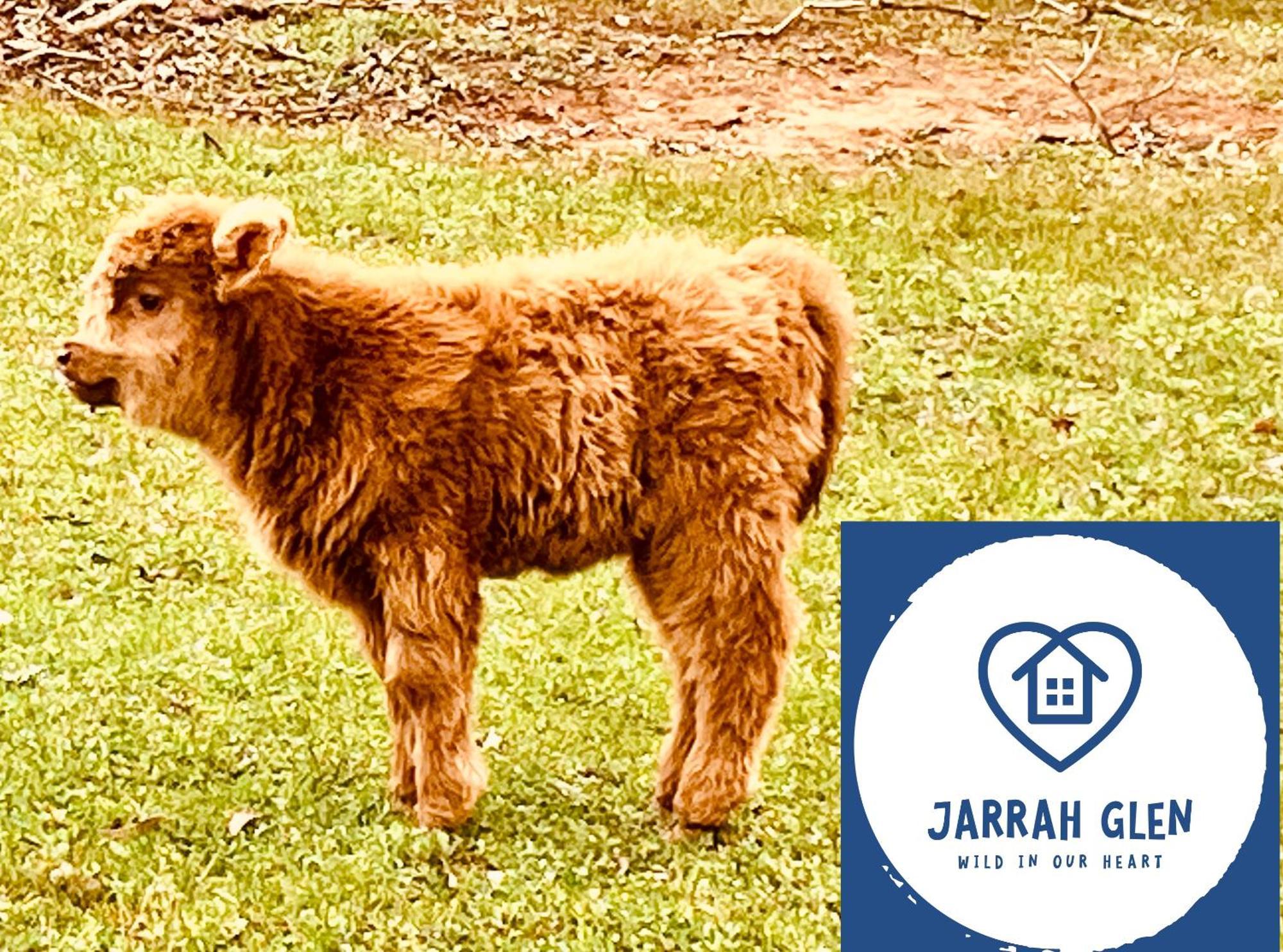 Jarrah Glen Cabins Nannup Dış mekan fotoğraf