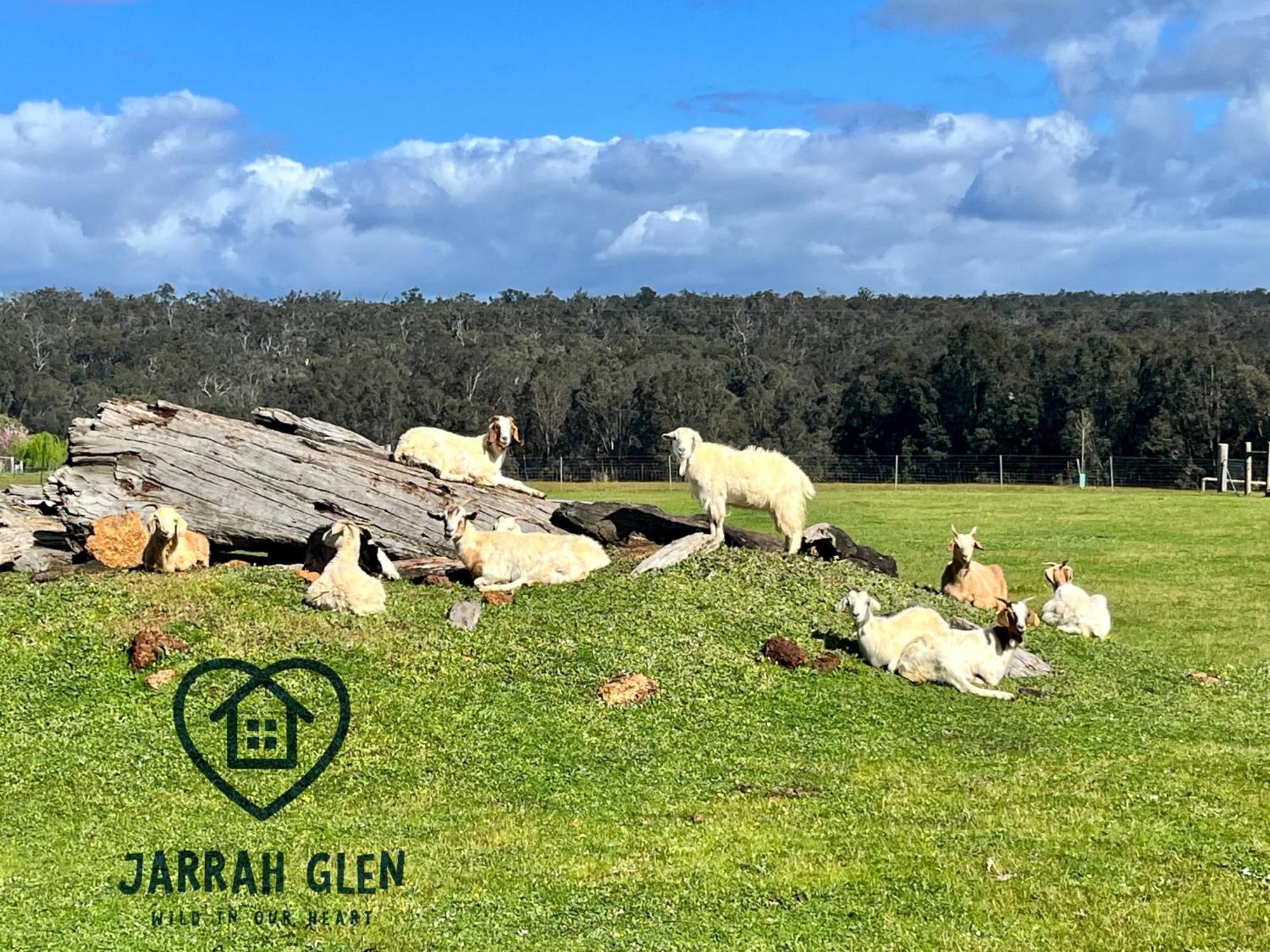 Jarrah Glen Cabins Nannup Dış mekan fotoğraf