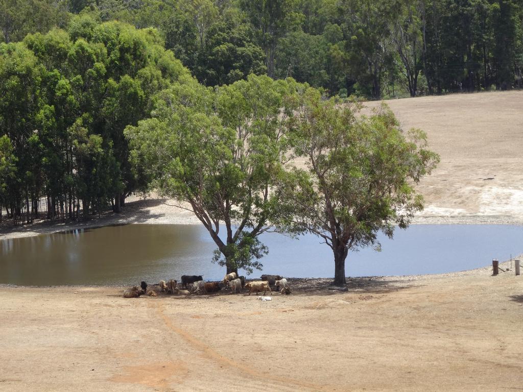Jarrah Glen Cabins Nannup Dış mekan fotoğraf